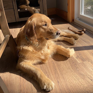 Meet your Posher, Claire